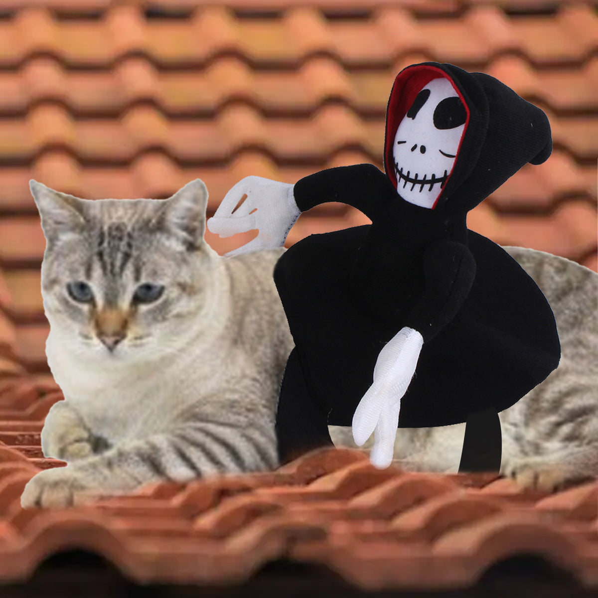Gizlux grim rider dog costume - image 3