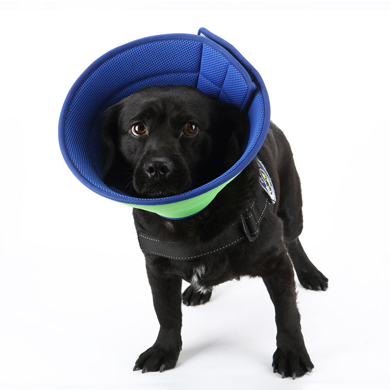 Gizlux Shield soft fabric pet recovery cone - image 1