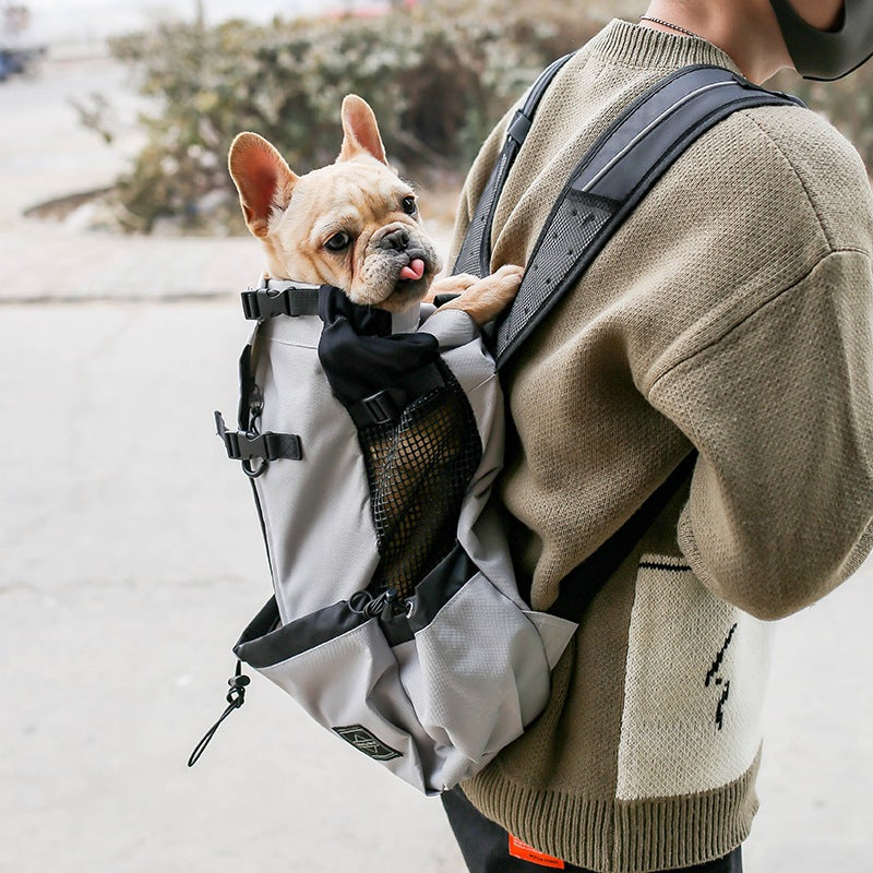 Gizlux Rover heads-out pet carrier backpack - image 2