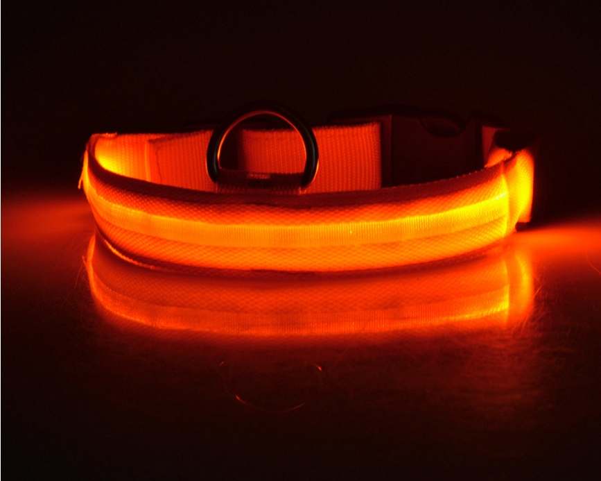 Gizlux Beacon rechargeable LED light-up dog collar - image 6