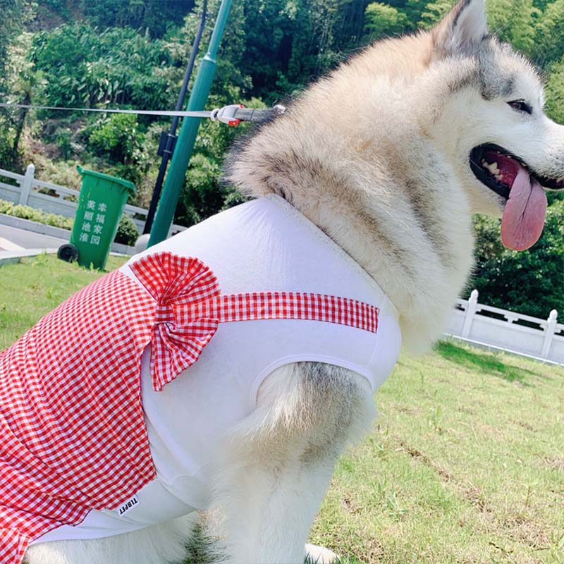 Gizlux princess plaid dog dress - image 1