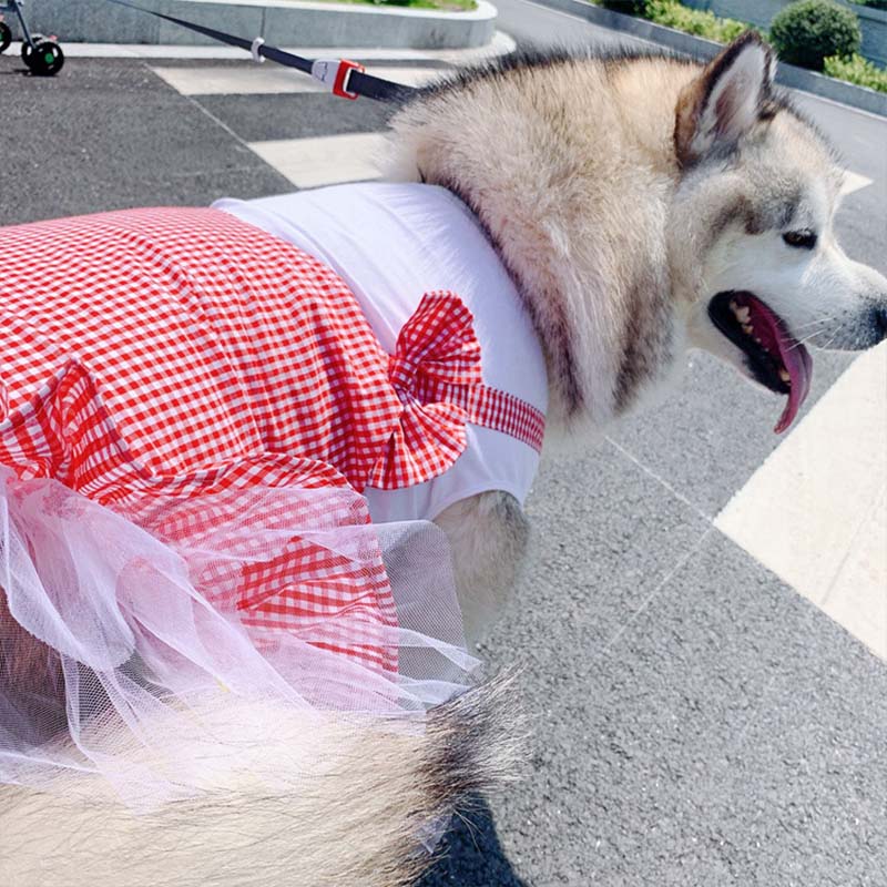 Gizlux princess plaid dog dress - image 4