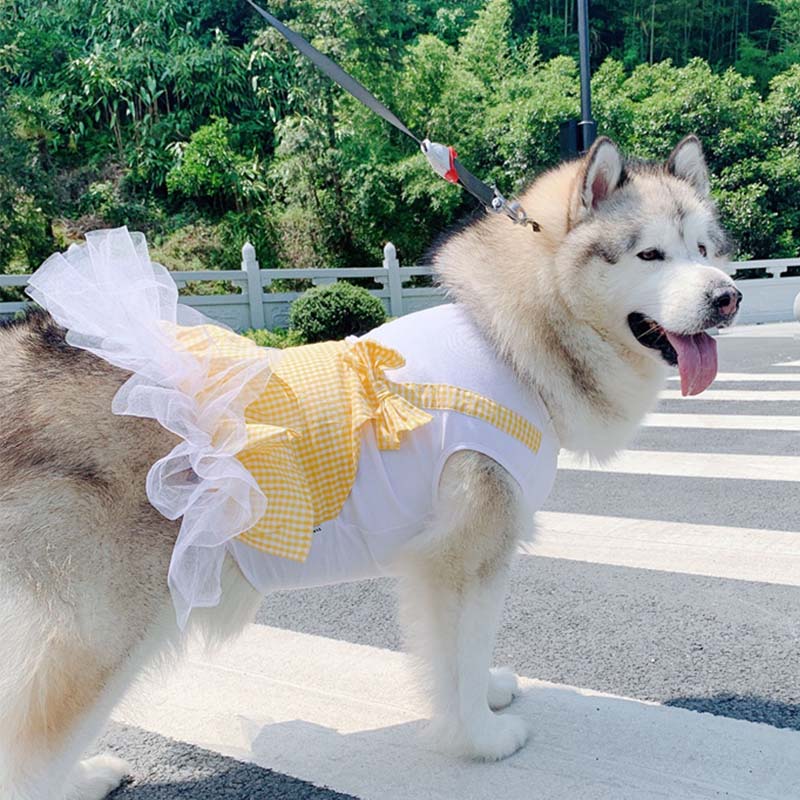 Gizlux princess plaid dog dress - image 6