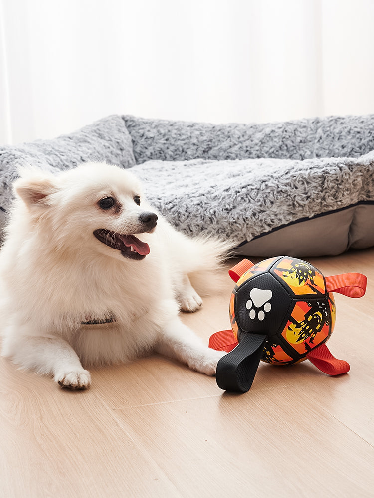 Gizlux Christmas dog soccer ball - image 1