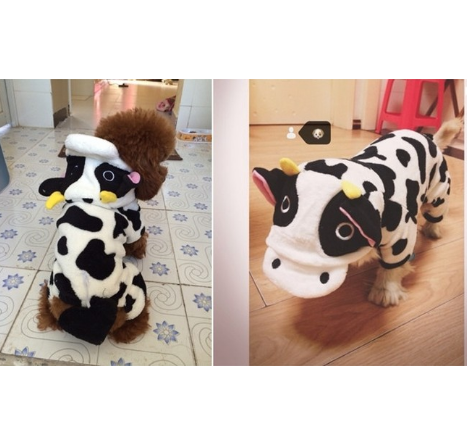 Gizlux cow hoodie dog costume - image 4