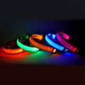 Gizlux Beacon rechargeable LED light-up dog collar - image 1
