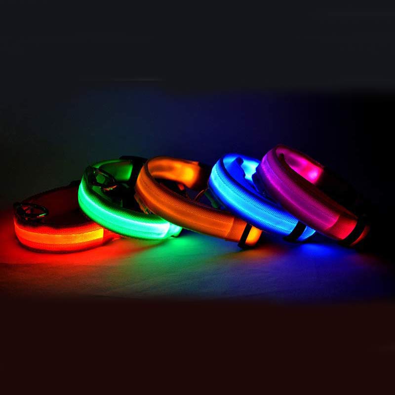 Gizlux Beacon rechargeable LED light-up dog collar - image 1