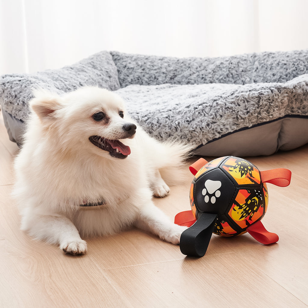 Gizlux Christmas dog soccer ball - image 5