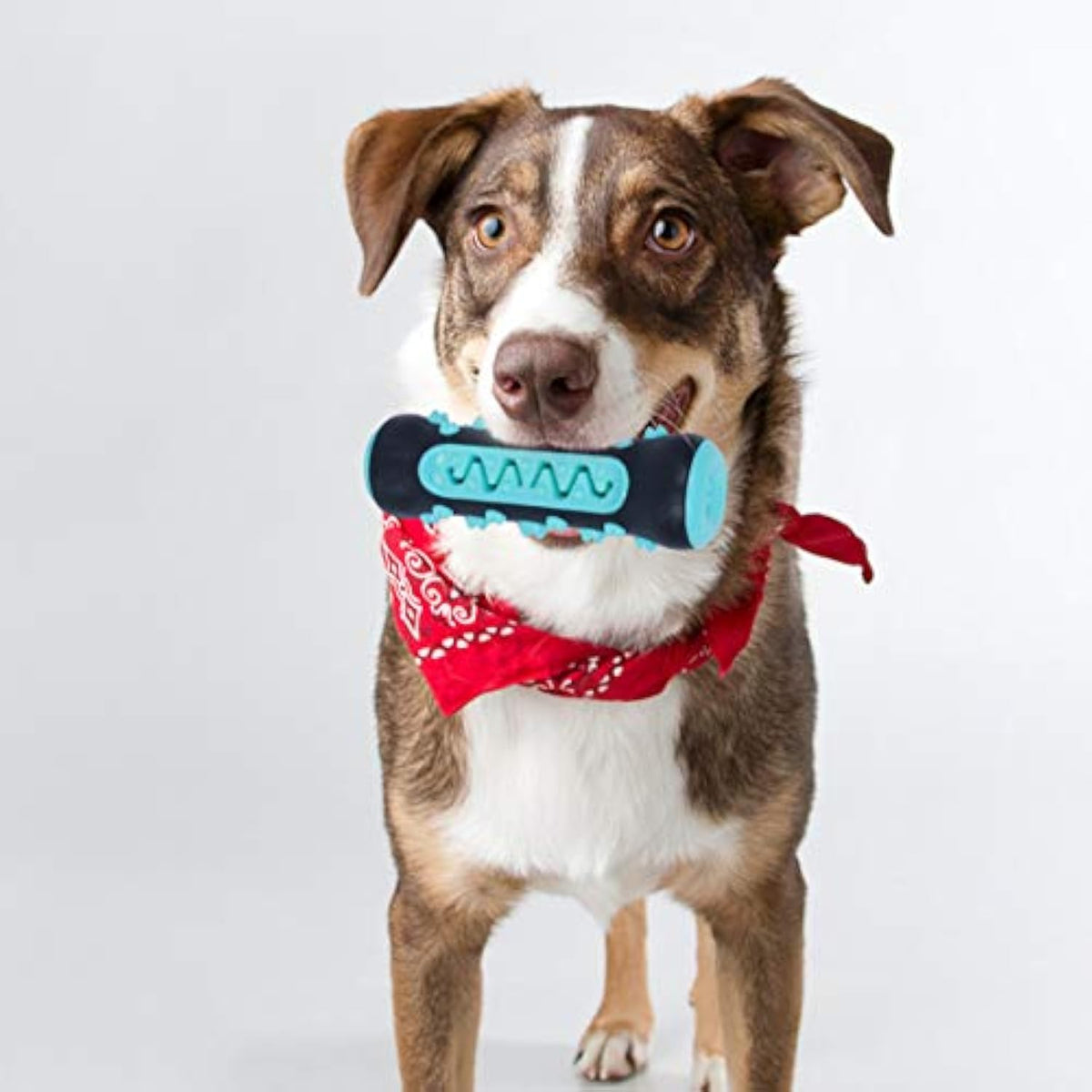 Gizlux Gleam rubber toothbrush chew stick for dogs - image 3