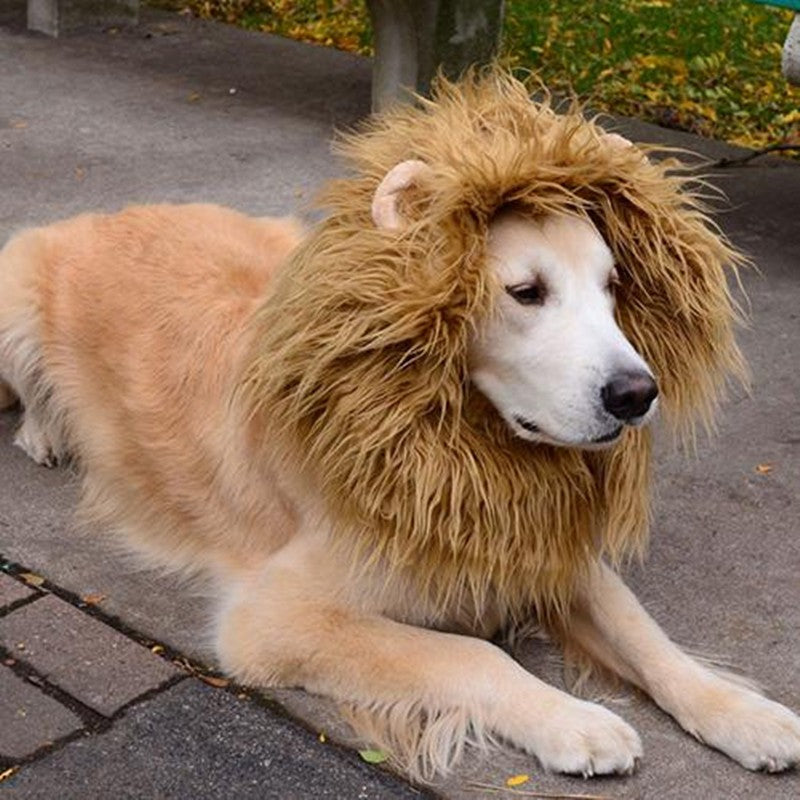Gizlux lion mane dog costume - image 3