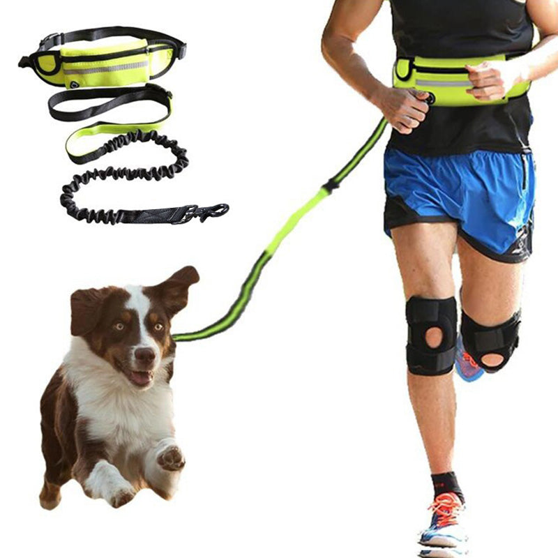 Gizlux Tandem hands-free waist dog leash with bungee - image 2