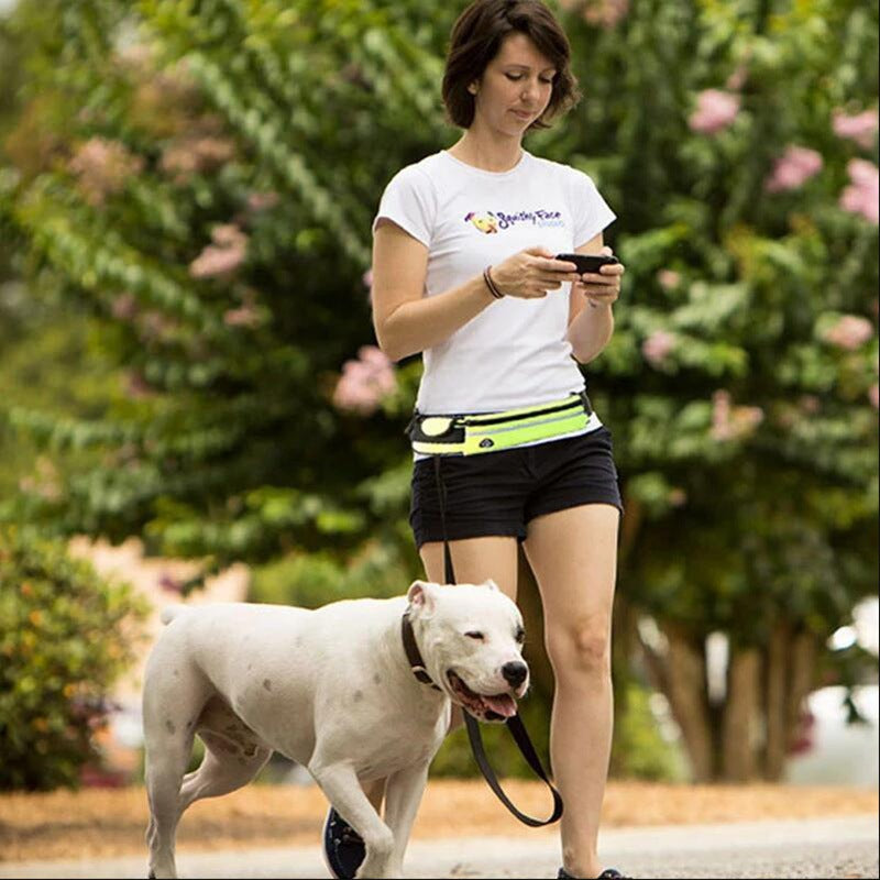 Gizlux Tandem hands-free waist dog leash with bungee - image 1