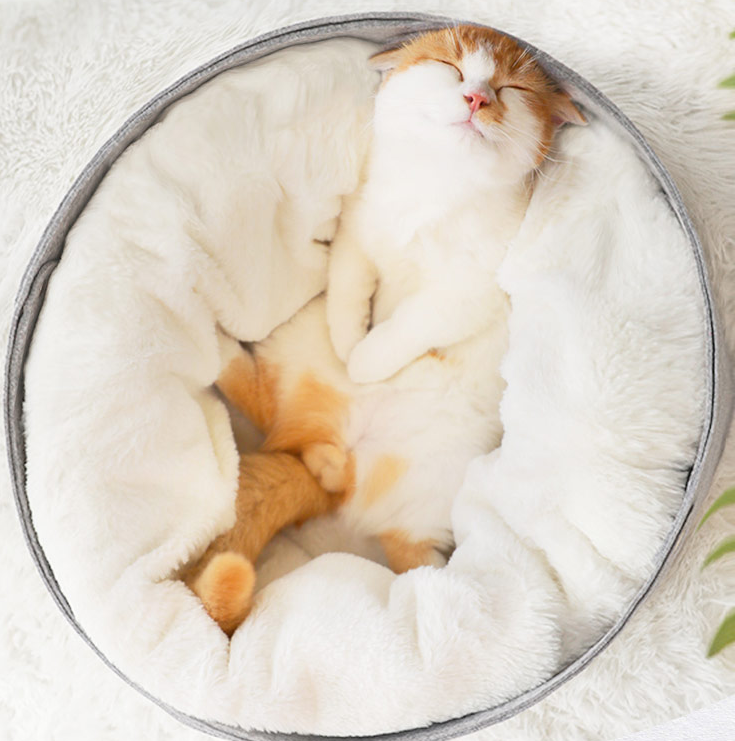 Gizlux Nest cozy enclosed pet cave bed - image 6