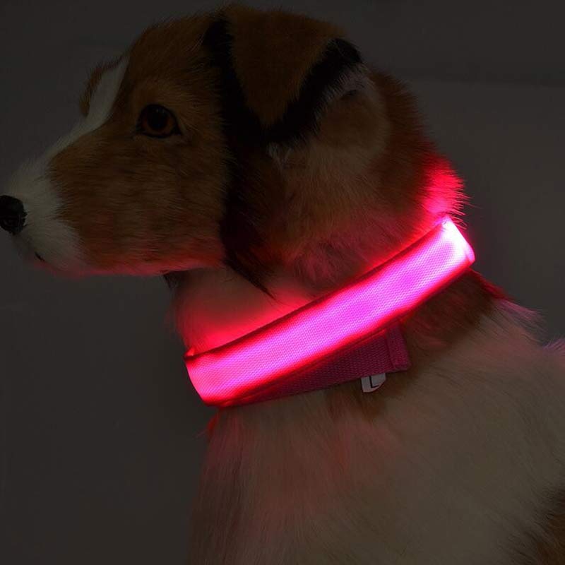 Gizlux Beacon rechargeable LED light-up dog collar - image 5