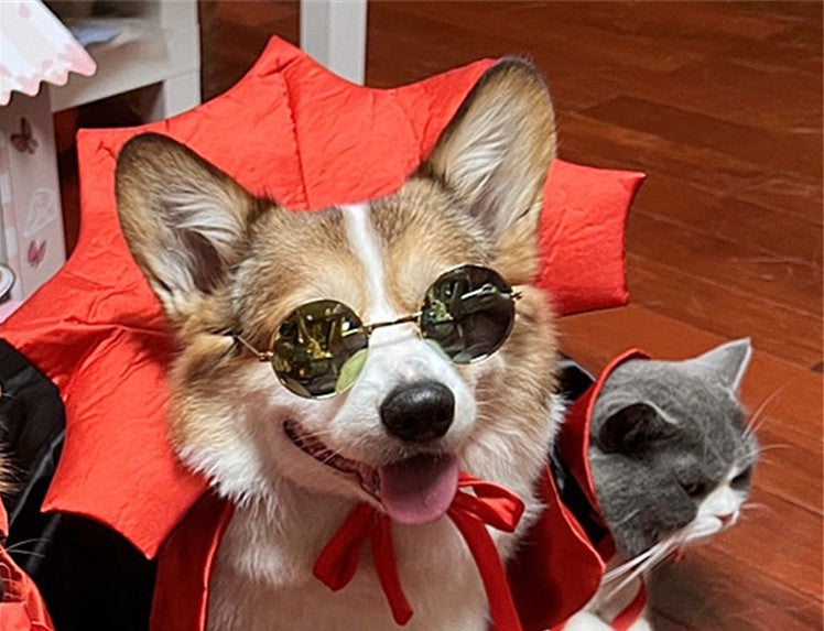 Gizlux vampire dog cape - image 2