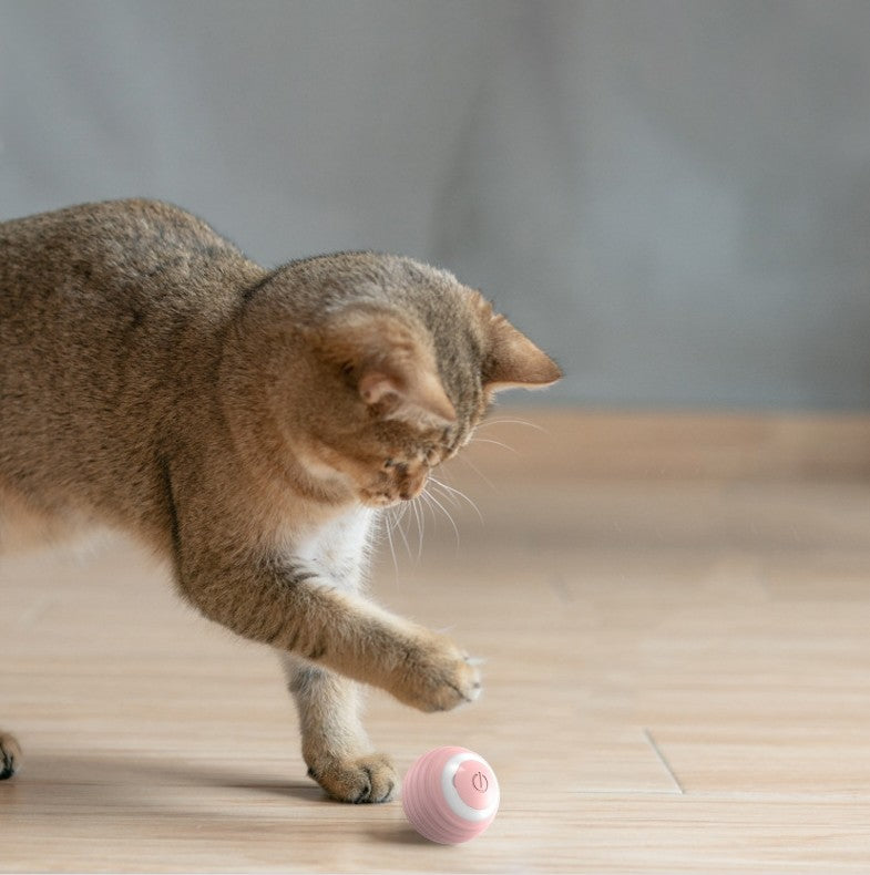 Gizlux Zoom automatic rolling cat ball - image 1
