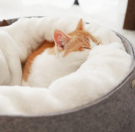 Gizlux Nest cozy enclosed pet cave bed - image 4