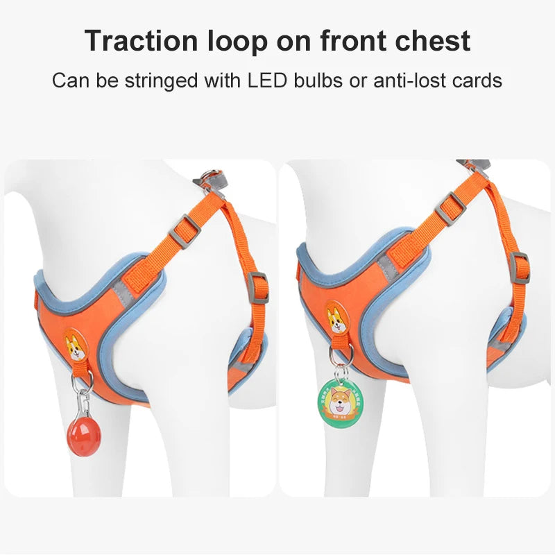 Gizlux Venture reflective harness and leash set - image 5