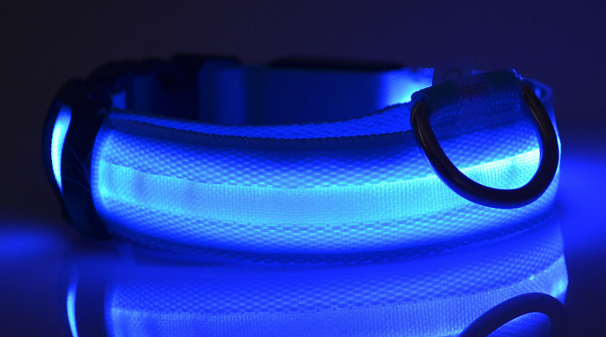 Gizlux Beacon rechargeable LED light-up dog collar - image 2