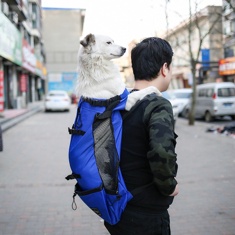 Gizlux Rover heads-out pet carrier backpack - image 3