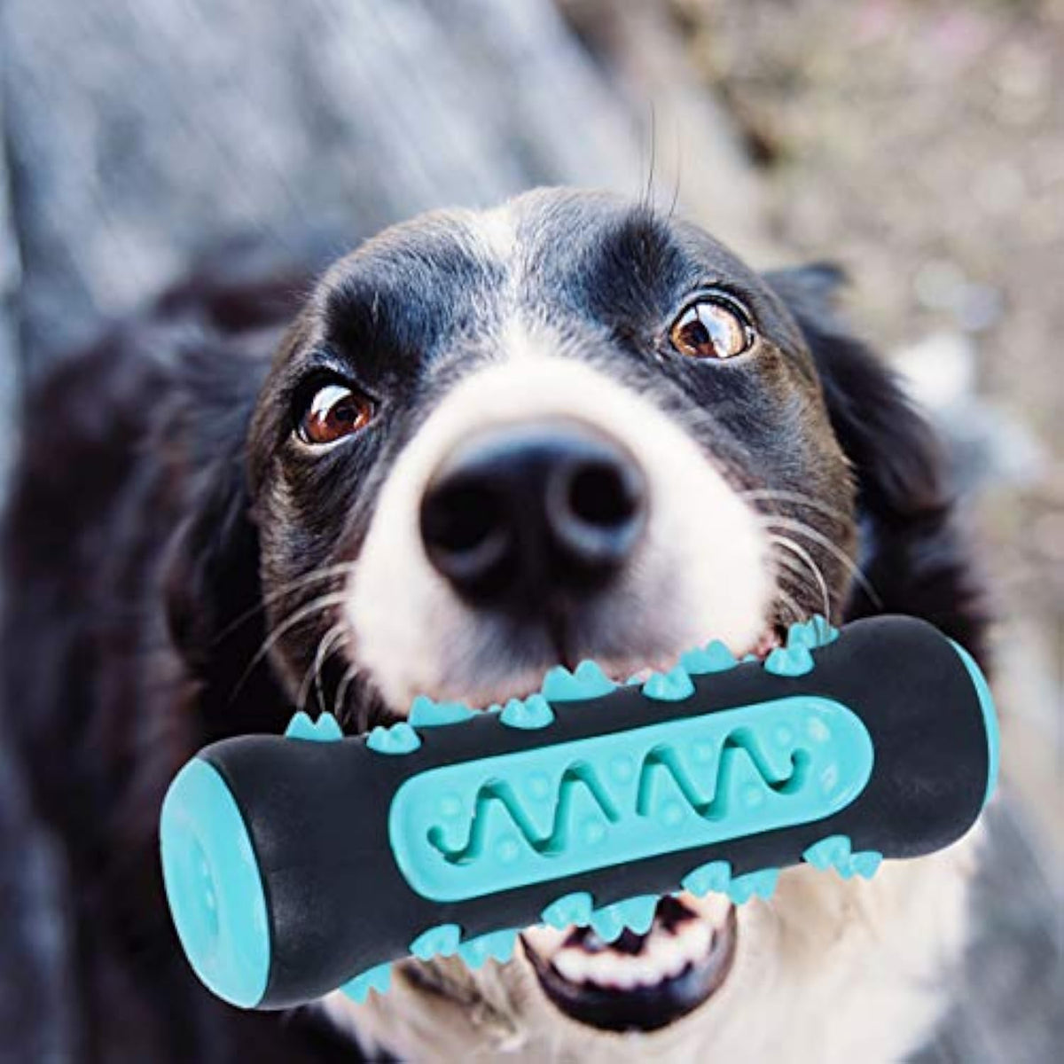 Gizlux Gleam rubber toothbrush chew stick for dogs - image 2