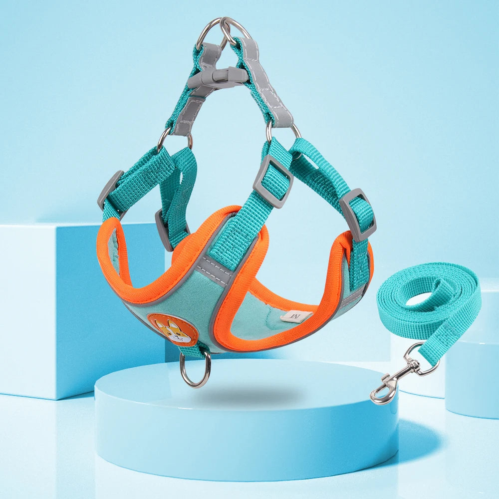 Gizlux Venture reflective harness and leash set - image 2