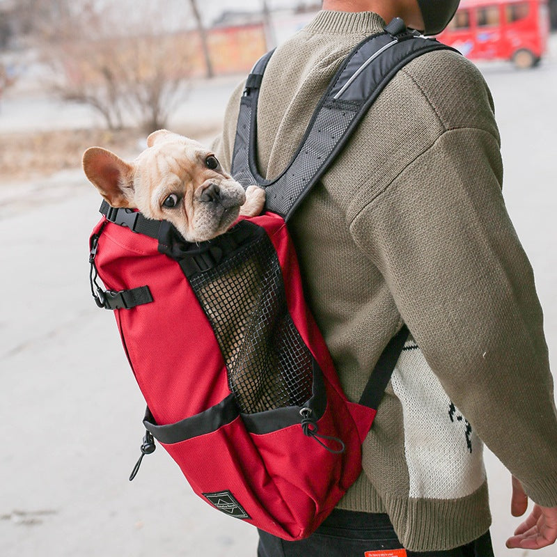 Gizlux Rover heads-out pet carrier backpack - image 1