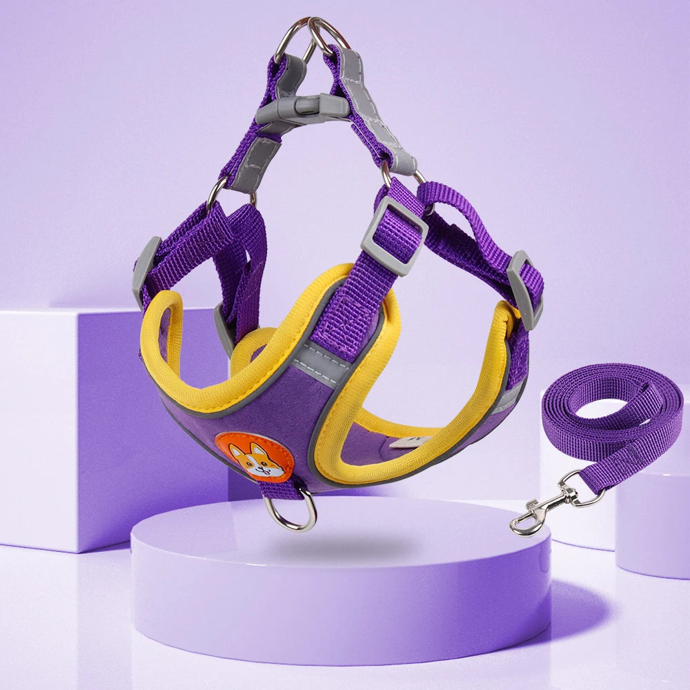 Gizlux Venture reflective harness and leash set - image 3