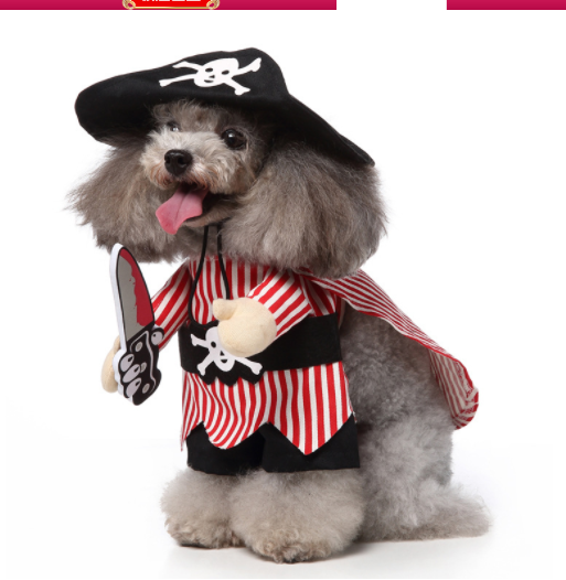 Gizlux standing buddy dog costume - image 10