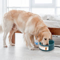 Gizlux Thaw heated pet water bowl 74 oz - image 1