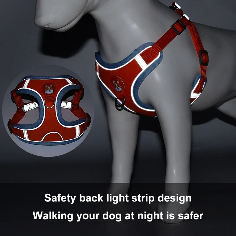 Gizlux Venture reflective harness and leash set - image 4