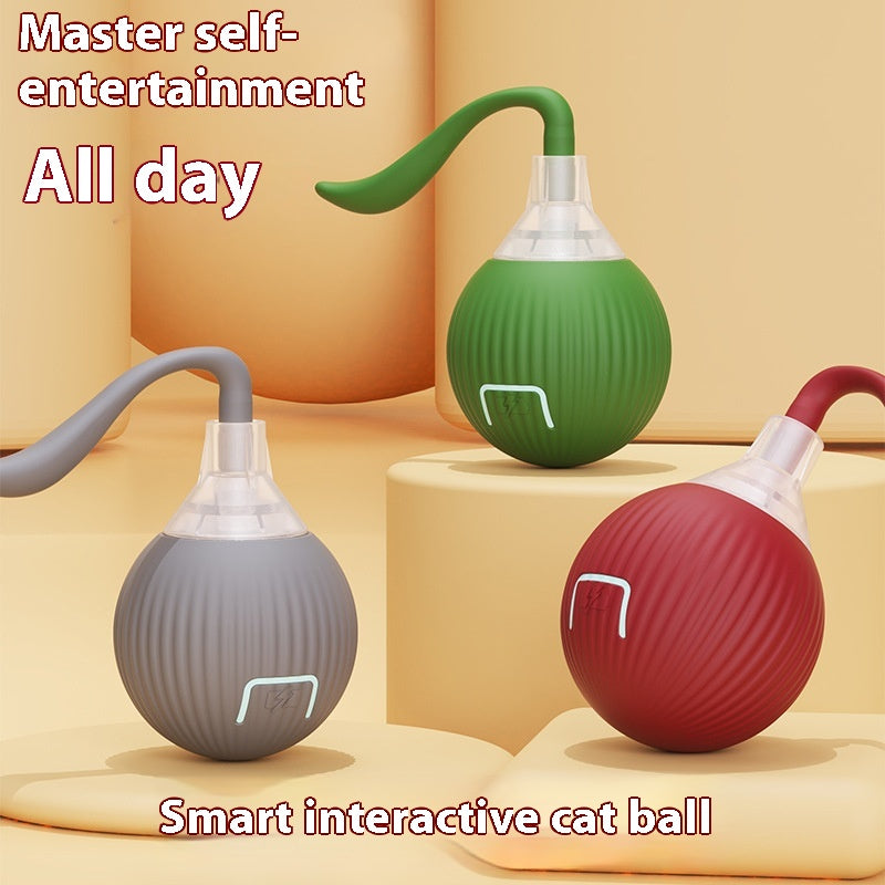 Gizlux Spin interactive rolling cat toy ball - image 4
