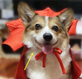 Gizlux vampire dog cape - image 1