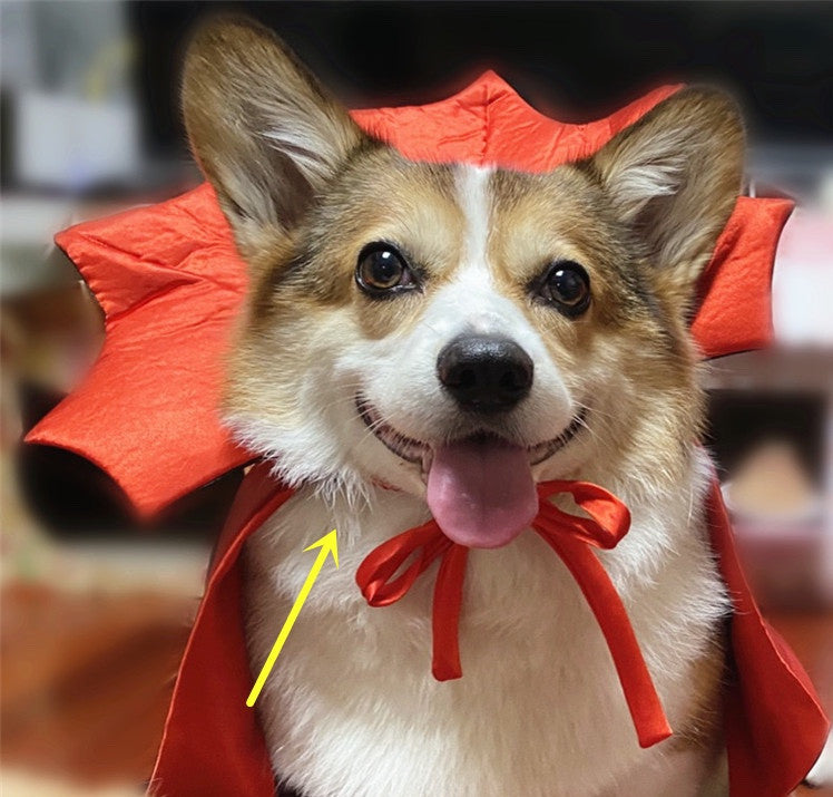 Gizlux vampire dog cape - image 1